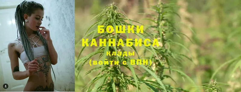 МАРИХУАНА SATIVA & INDICA  Всеволожск 